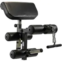 BH Fitness Curl/bicepsbank G510 | Maat TU
