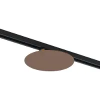 QAZQA Moderne plafondlamp brons voor railsysteem 1-fase 2-lichts - Iconic Pulley