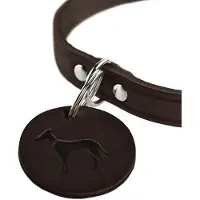 Hunter Pet Aalborg Hondenhalsband