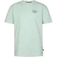 Petrol Industries T-shirt mintgroen Jongens Katoen Ronde hals Printopdruk - maat 140