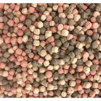 Coppens Koivoer japan mix 5 kilo 6/8mm (Grower/kleur/groei/weerstand/zijderupsen)