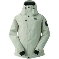 Dare 2b Dames/Dames Ski Life Dash Print Ski-jas (Gletsjer Groen)