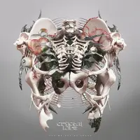 Sony music The Weight of Sound
