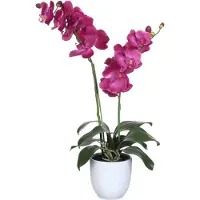 Mica Decorations Orchidee bloem kunstplant - roze - H66 x B38 cm