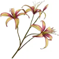 Silk-ka Lelie tak paars/groen 80 cm