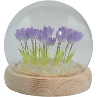Ancient Wisdom Bloementuinkoepel - 20 tulpen - LED USB