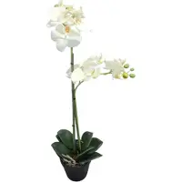 Mica Decorations Kunstplant Phalaenopsis Orchidee geel groen H67 x D25cm