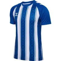Hummel Match Striped T-shirt Met Korte Mouwen