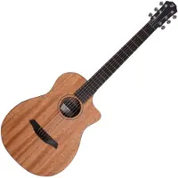 Furch Pioneer Mm
