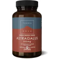 Terranova Astragalus 500 mg (100 capsules)