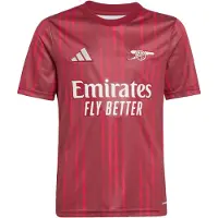 Adidas Functioneel shirt 'Arsenal FC 26 Pre-Match' rood / bordeaux / wit