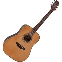Takamine GD20 Natural Satin Akoestische gitaar