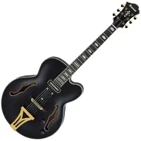 Ibanez Pm3C Signature Pat Metheny Black Low Gloss
