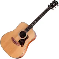 Taylor Guitars Gold Label 510e Natural Dreadnought