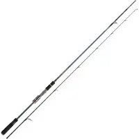 Daiwa Tournament Ags Spinning Rod Blauw 3.05 m / 14-56 g