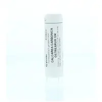 Homeoden Heel Calcarea carbonica ostrearum MK 6 gram granules