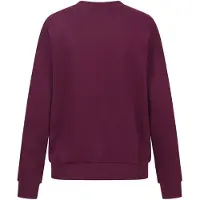 U.s. polo assn. Sweatshirt bessen
