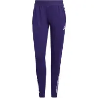 Adidas Sportbroek 'Tiro 25 Competition' braam / lichtlila