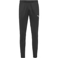 Puma Sportbroek 'Team Goal' grijs / zwart