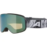 Alpina Skibril Slope Q-Lite Black/Glacier Matt