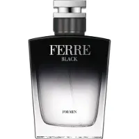 Gianfranco Ferre Black Eau de Toilette 100 ml