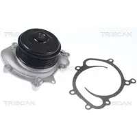 TRISCAN 8600 23081 Waterpomp