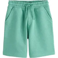 Next Broek groen