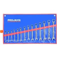 Projahn Ratelsleutel-set GearTech, in foedraal, metrisch, 14-delig