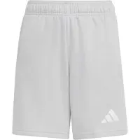 Adidas Sportbroek 'Entrada26' lichtgrijs