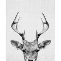 IXXI Print 38 Deer, Lila + Lola - 80 x 100 cm - Gratis ophangtool - Grote wanddecoratie en posters - Fotografie, Minimalisme, Woonkamer, Babykamer