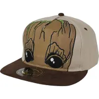 Guardians Of The Galaxy - Marvel Cap - Groot - meerkleurig - Maat Standard