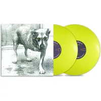 Columbia Alice In Chains Vinyle Coloré