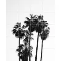 IXXI Palms in the Wind, Henrike Schenk - 80 x 100 cm - Gratis ophangtool - Grote wanddecoratie en posters - Fotografie, Minimalisme, Woonkamer, Gang