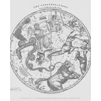 IXXI The Constellations white, Aster Edition - 80 x 100 cm - Gratis ophangtool - Grote wanddecoratie en posters - Houtsnede, Illustraties, Vintage