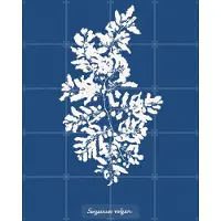 IXXI Sargassum Vulgare - Fern, Aster Edition - 80 x 100 cm - Gratis ophangtool - Grote wanddecoratie en posters - Grafisch Ontwerp, Illustraties