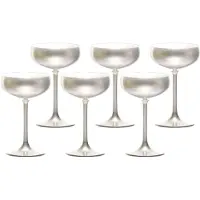 Stölzle Olympic Campagne Coupe Zilver 230 ml