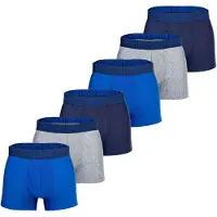 Under Armour Boxershorts blauw / grijs