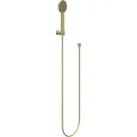 Ivy Aia Algemeen Handdoucheset, slang 150cm, wandhouder en satin spray handdouche Geborsteld mat goud PVD