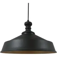 Bamyum Pendelleuchte Asletl Hanglamp Industrieel Zwart Gemaakt Van Metaal