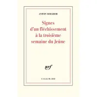 Gallimard Signes d'un flechissement a la troisieme semaine du jeune - Anton Beraber