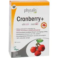 Physalis Cranberry +