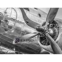 Karo-art Schilderij - Vintage propeller vliegtuig , Zwart wit , 3 maten , Premium print