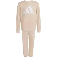 Adidas Trainingspak beige / wit