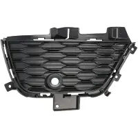 BLIC 6502-07-3209914P Ventilatiegrille, bumper