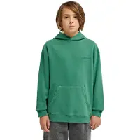 Element Cornell 3.0 Hoodie