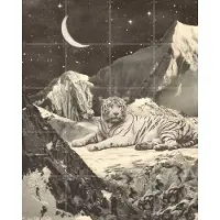 IXXI Giant White Tiger, Florent Bodart - 80 x 100 cm - Gratis ophangtool - Grote wanddecoratie en posters - Illustraties, Surrealisme, Vintage