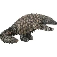 Collecta Figurine - Schubdier - (S) - Wilde Dieren - Handgeschilderd - Miniatuur