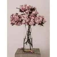 IXXI Cherry Break, STUDIO HANNAH LEMHOLT - 60 x 80 cm - Gratis ophangtool - Grote wanddecoratie en posters - Fotografie, Woonkamer, Slaapkamer