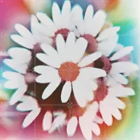 IXXI He Loves Me, Amber Lauder - 80 x 80 cm - Grote wanddecoratie en posters - Fotografie, Kleurrijk, Abstract, Slaapkamer, Studeerkamer, Woonkamer