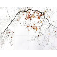 IXXI Sensitive, Various - 80 x 60 cm - Gratis ophangtool - Grote wanddecoratie en posters - Minimalisme, Fotografie, Slaapkamer, Woonkamer, Herfst